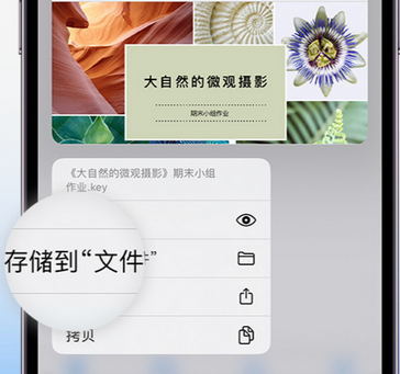 印台apple维修中心分享iPhone文件应用中存储和找到下载文件