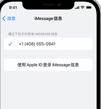 印台apple维修iPhone上无法正常发送iMessage信息