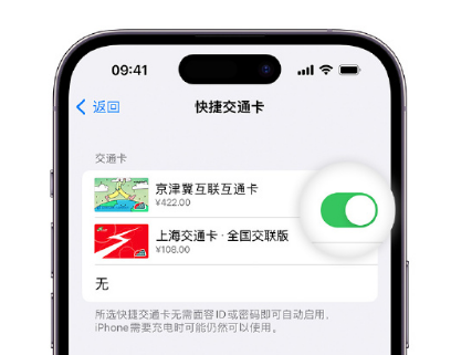 印台apple维修点分享iPhone上更换Apple Pay快捷交通卡手绘卡面 