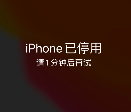 印台苹果手机维修分享:iPhone 显示“不可用”或“已停用”怎么办？还能保留数据吗？ 