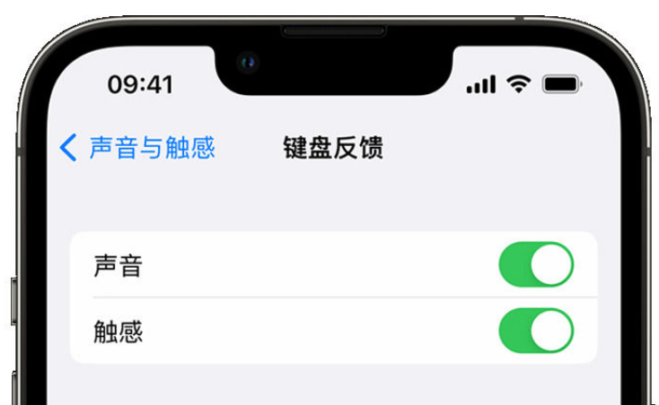 印台苹果手机维修分享iPhone 14触感键盘使用方法 