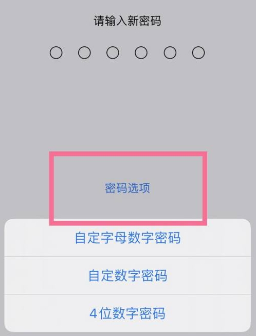 印台苹果14维修分享iPhone 14plus设置密码的方法 