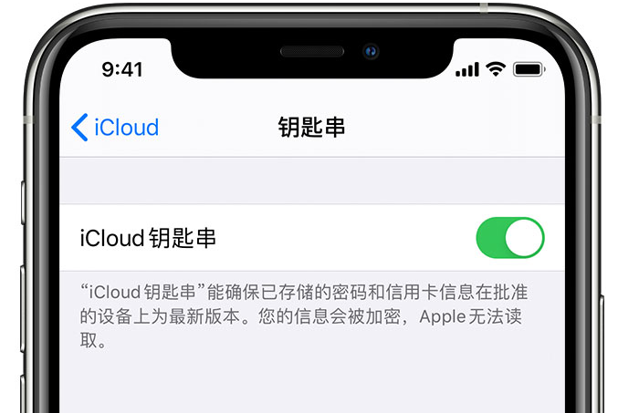 印台苹果手机维修分享在 iPhone 上开启 iCloud 钥匙串之后会储存哪些信息 