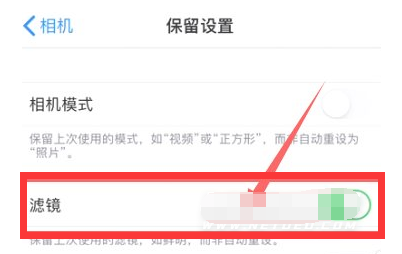 印台苹果13维修分享iPhone13拍照有绿点是怎么回事 
