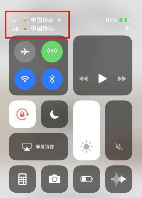 印台苹果手机维修分享为 iPhone 12 双卡设置标签 